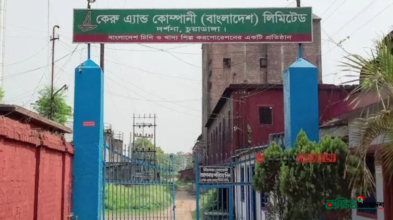 লোকসানের যুগে কেরু অ্যান্ড কোম্পানির অবিশ্বাস্য সাফল্য, ডিস্