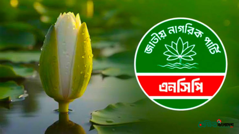 স্থানীয় নির্বাচন সামনে রেখে তৃণমূল গোছাচ্ছে এনসিপি, ২৮ সেপ্টেম্বরের মধ্যে উপজেলা কমিটি গঠনের নির্দেশ
