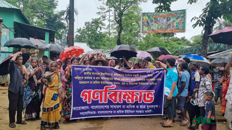 চা শ্রমিকদের ন্যায্য মজুরির আন্দোলন ও বিএনপির নির্বাচনী অঙ্গীকার
